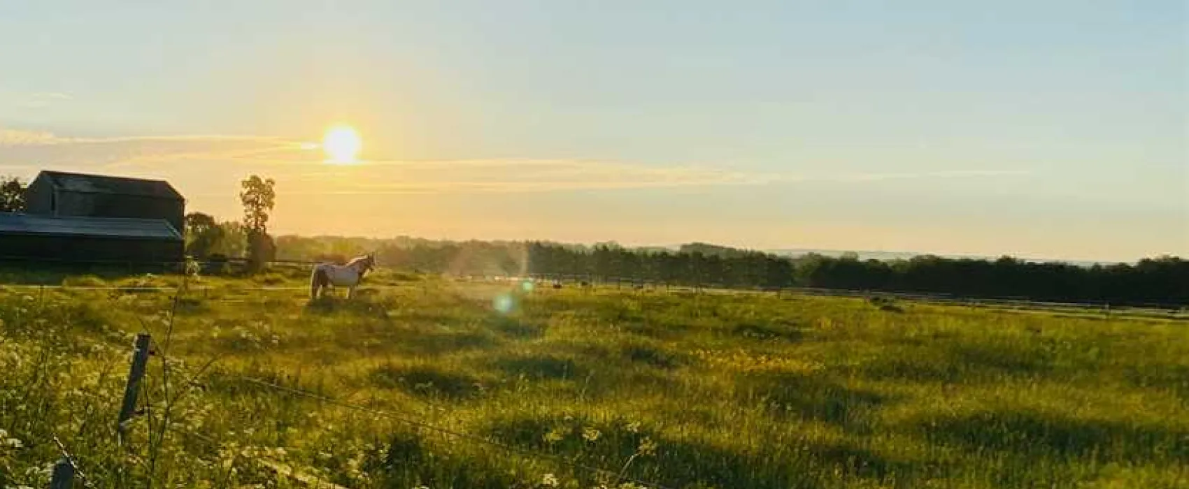 Painters Farm Campsite