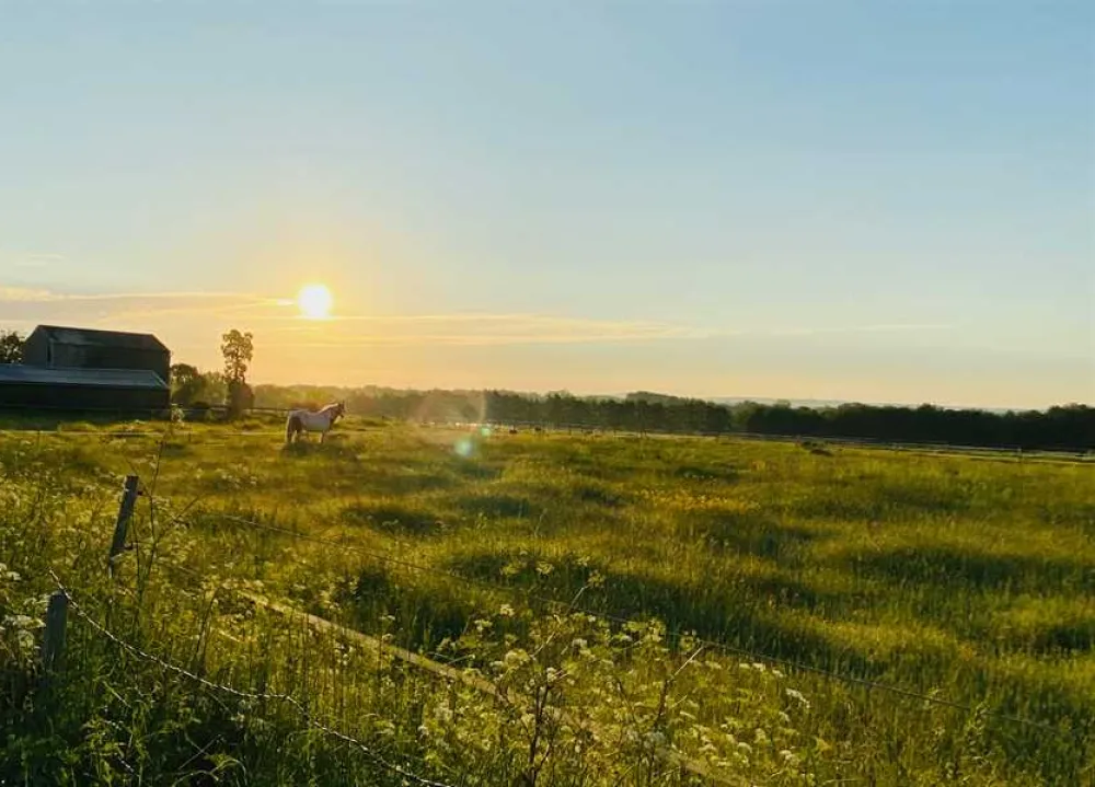 Painters Farm Campsite