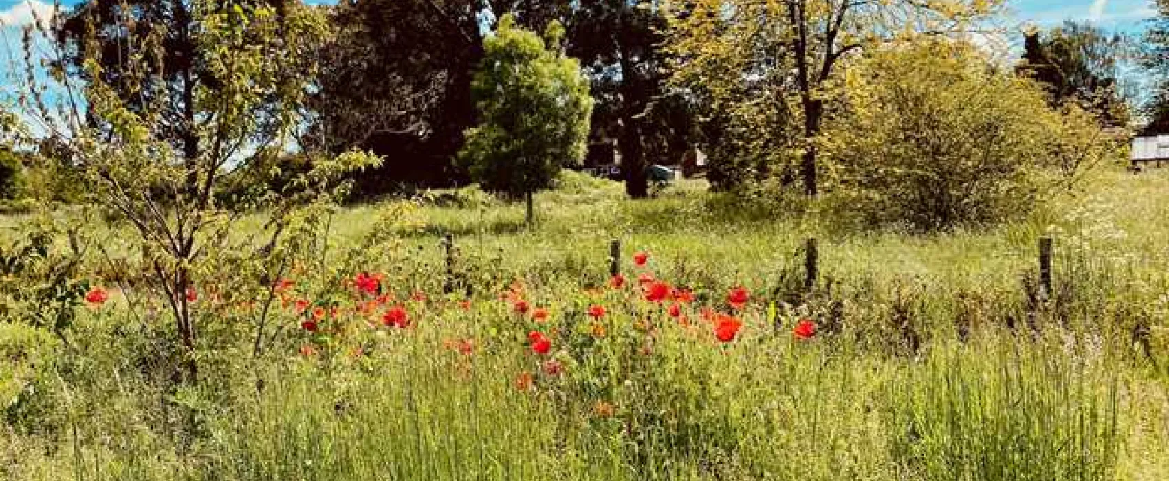 Painters Farm Campsite