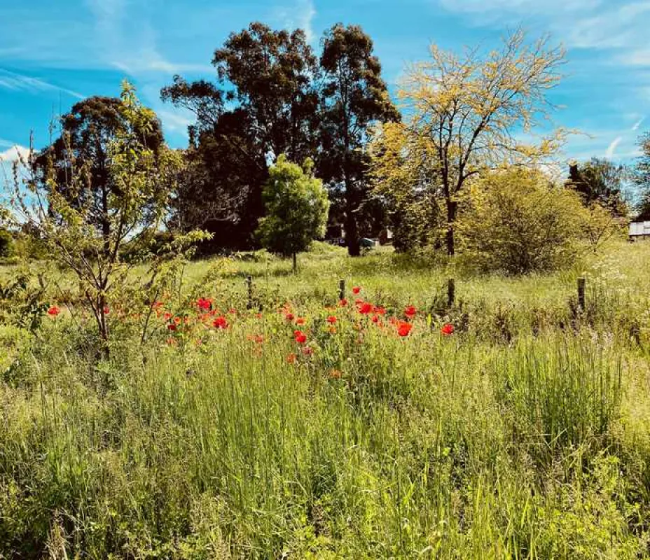 Painters Farm Campsite