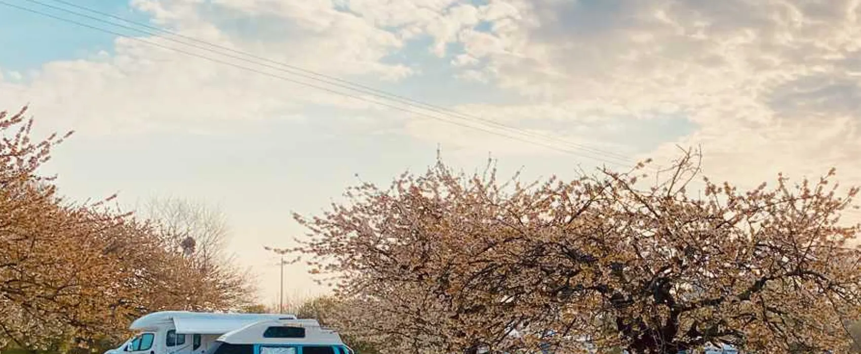 Painters Farm Campsite