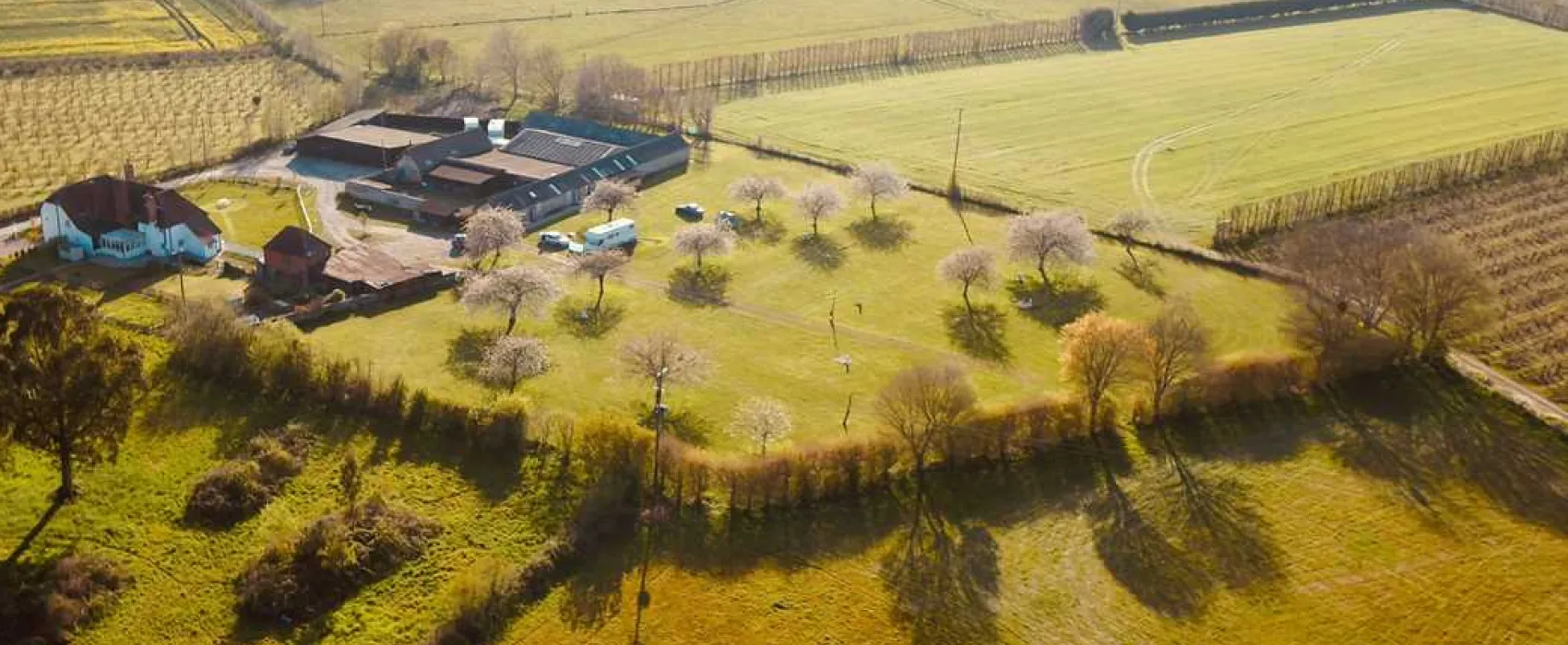 Painters Farm Campsite