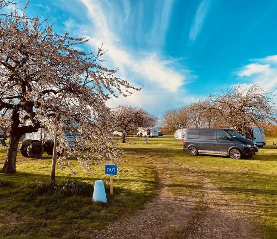 Painters Farm Campsite