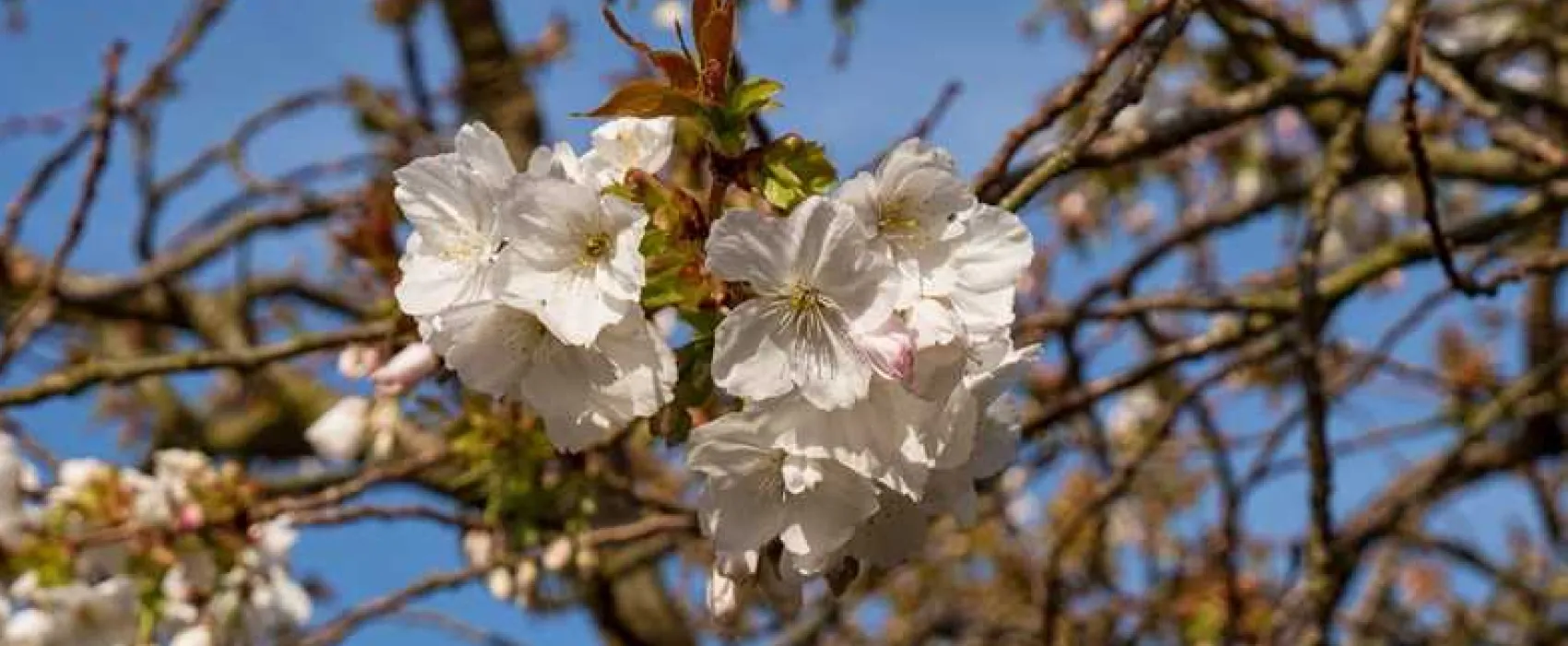 Painters Farm Campsite
