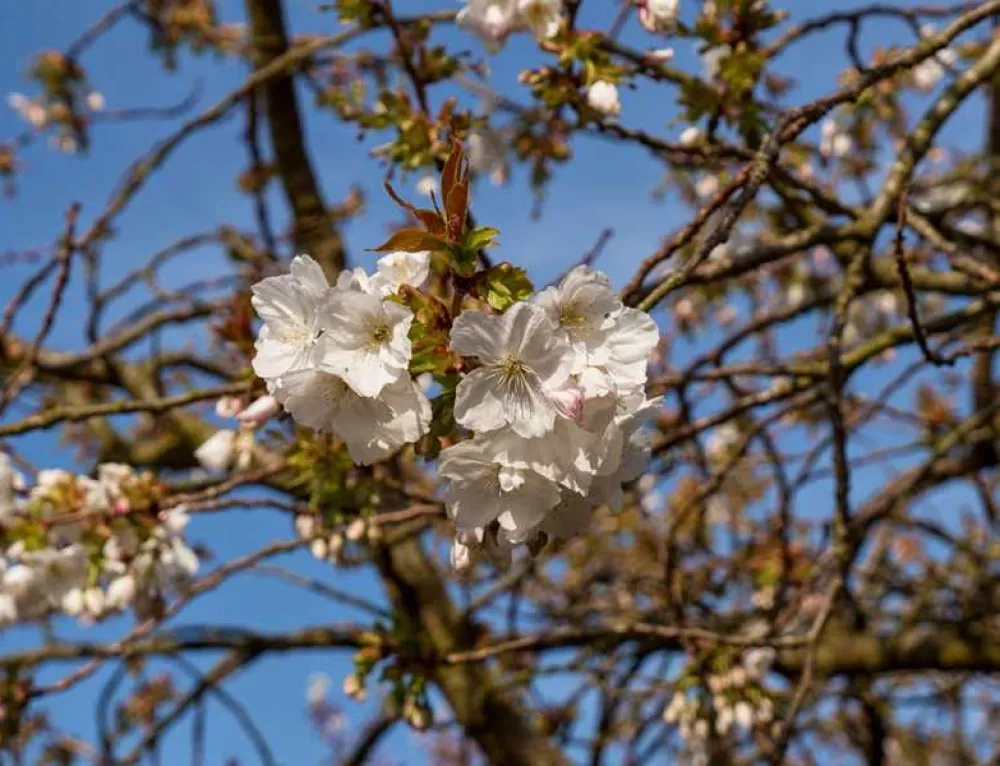 Painters Farm Campsite