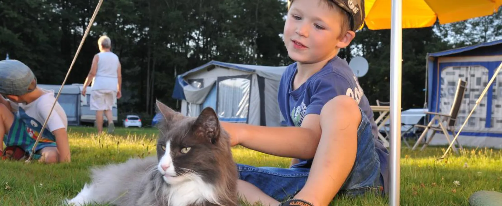 Camping Höllensteinsee