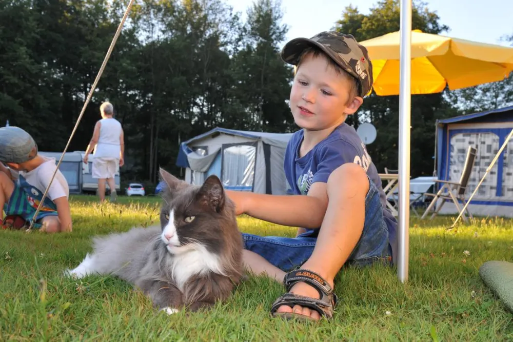 Camping Höllensteinsee