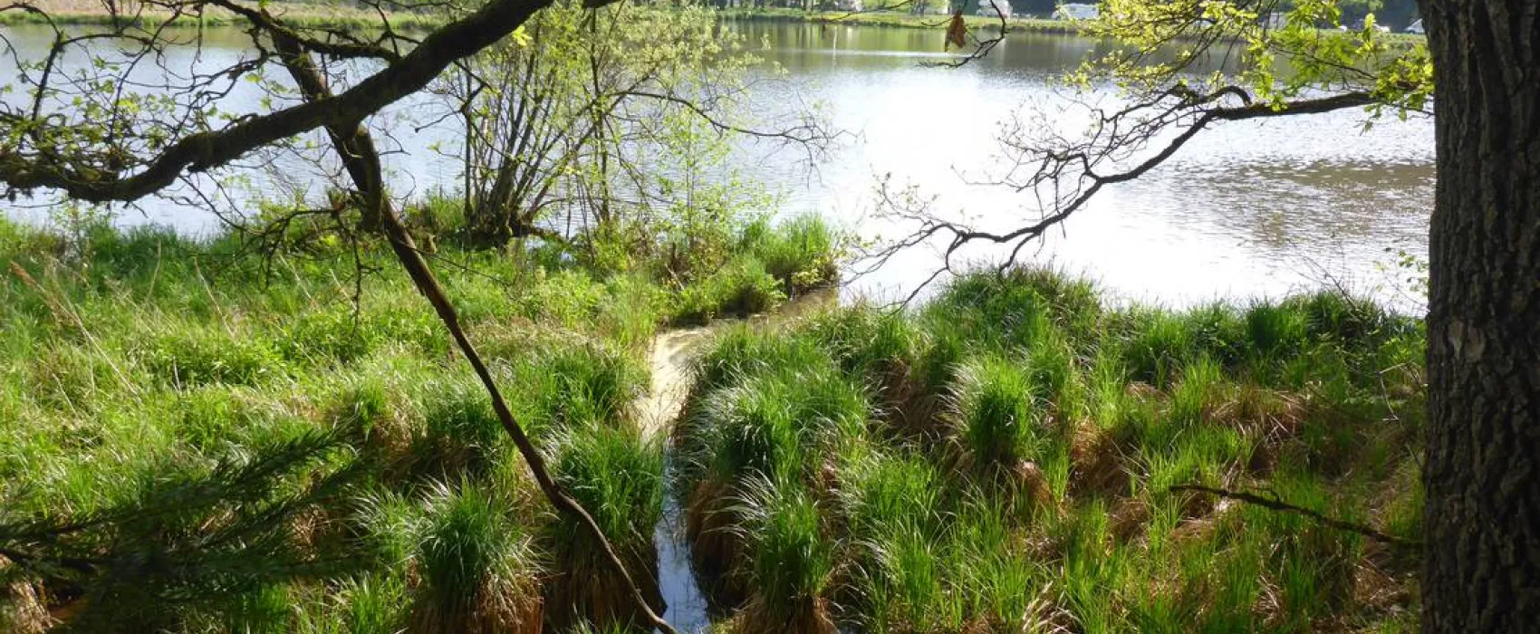 Camping Höllensteinsee