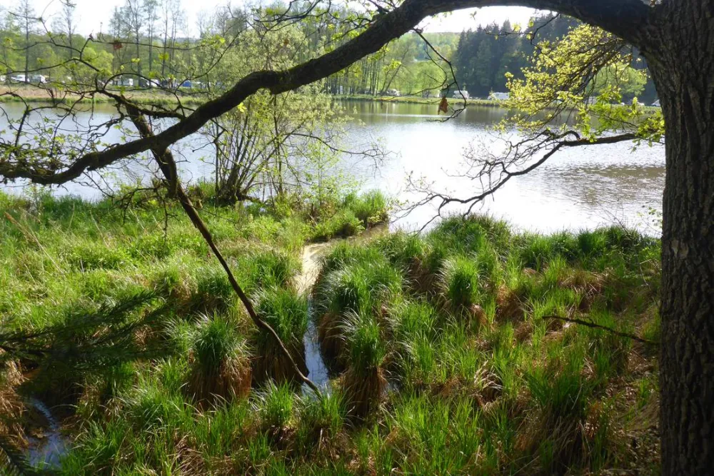 Camping Höllensteinsee