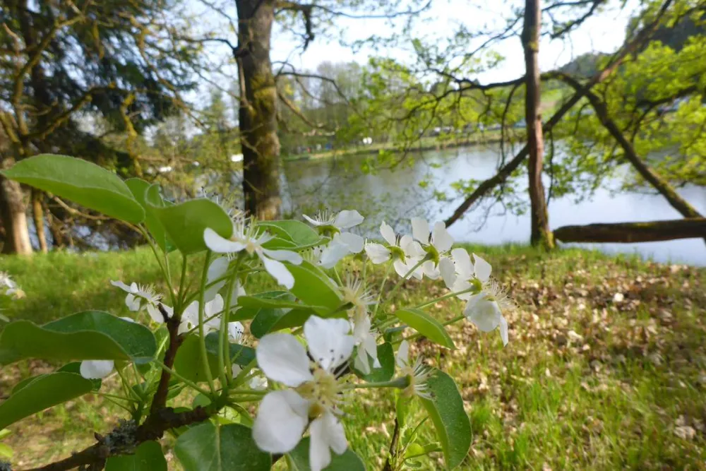 Camping Höllensteinsee