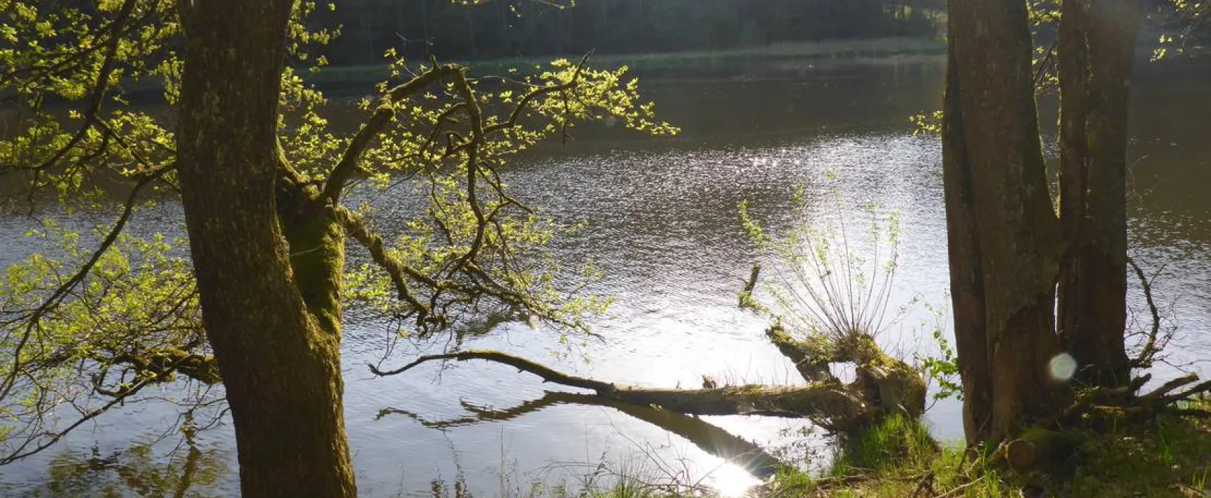 Camping Höllensteinsee