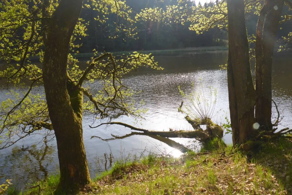 Camping Höllensteinsee