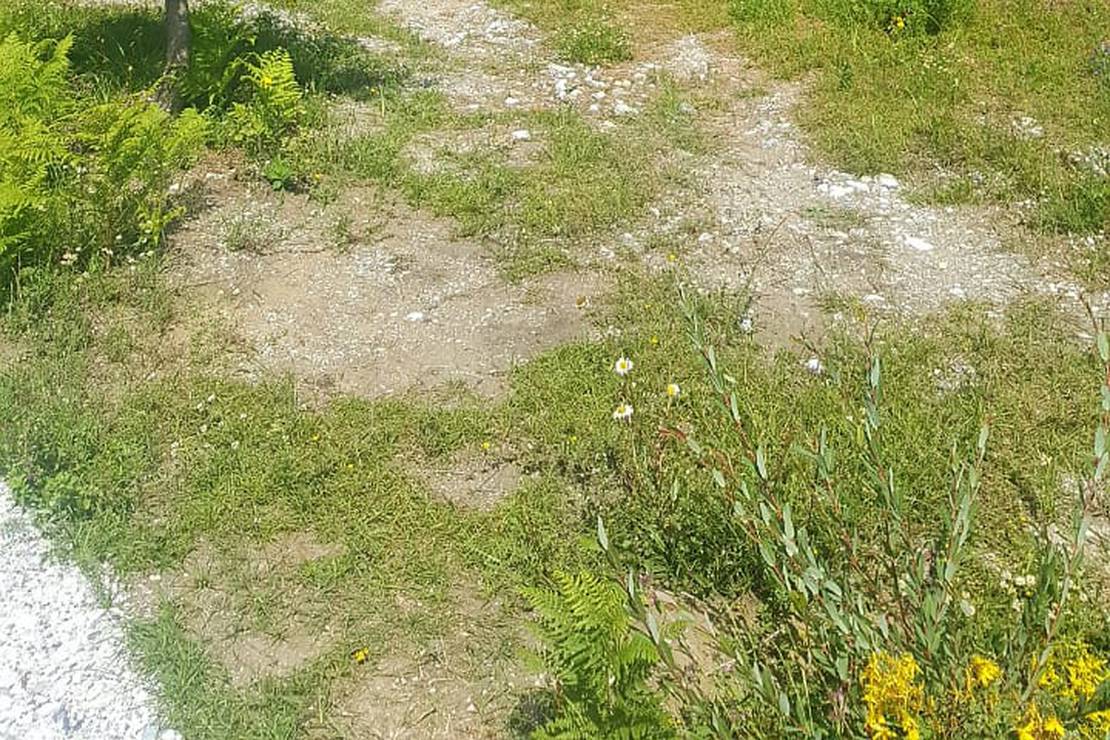 Valbona Eco Camping photo 4