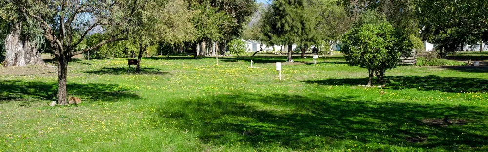 Citrus Creek Caravan Park & Chalets