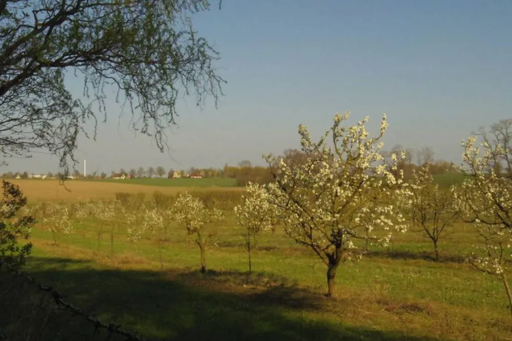 Camping Lindemühlenberg