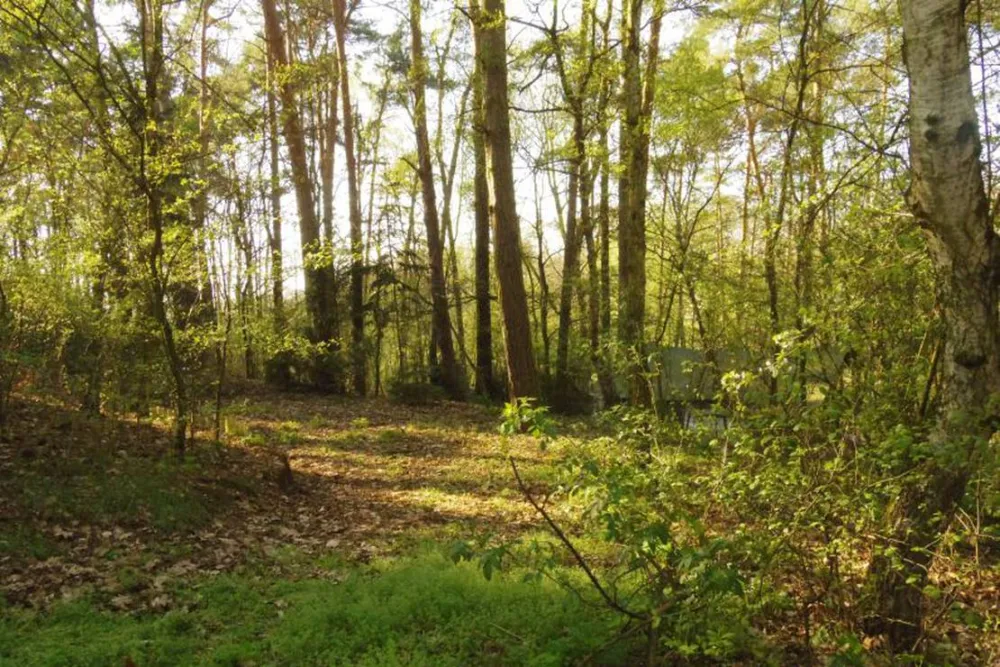 Camping Lindemühlenberg