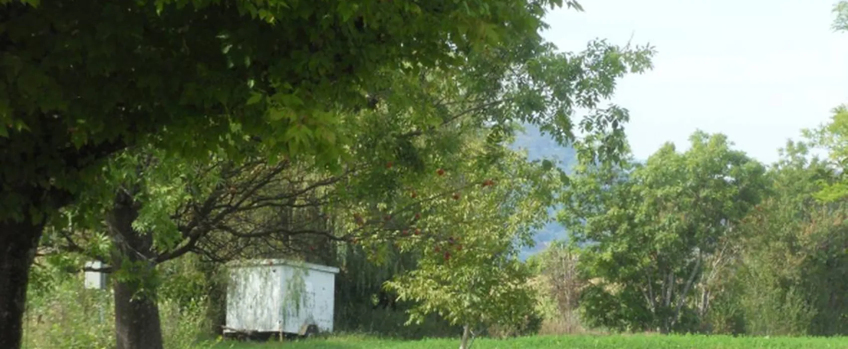 Camping aire naturelle La Bergerie