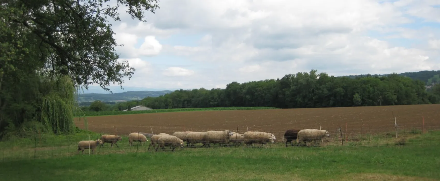 Camping aire naturelle La Bergerie