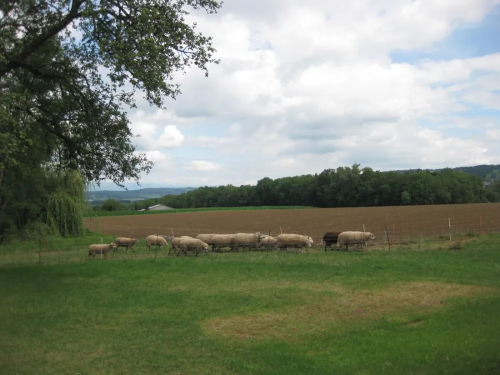 Camping aire naturelle La Bergerie