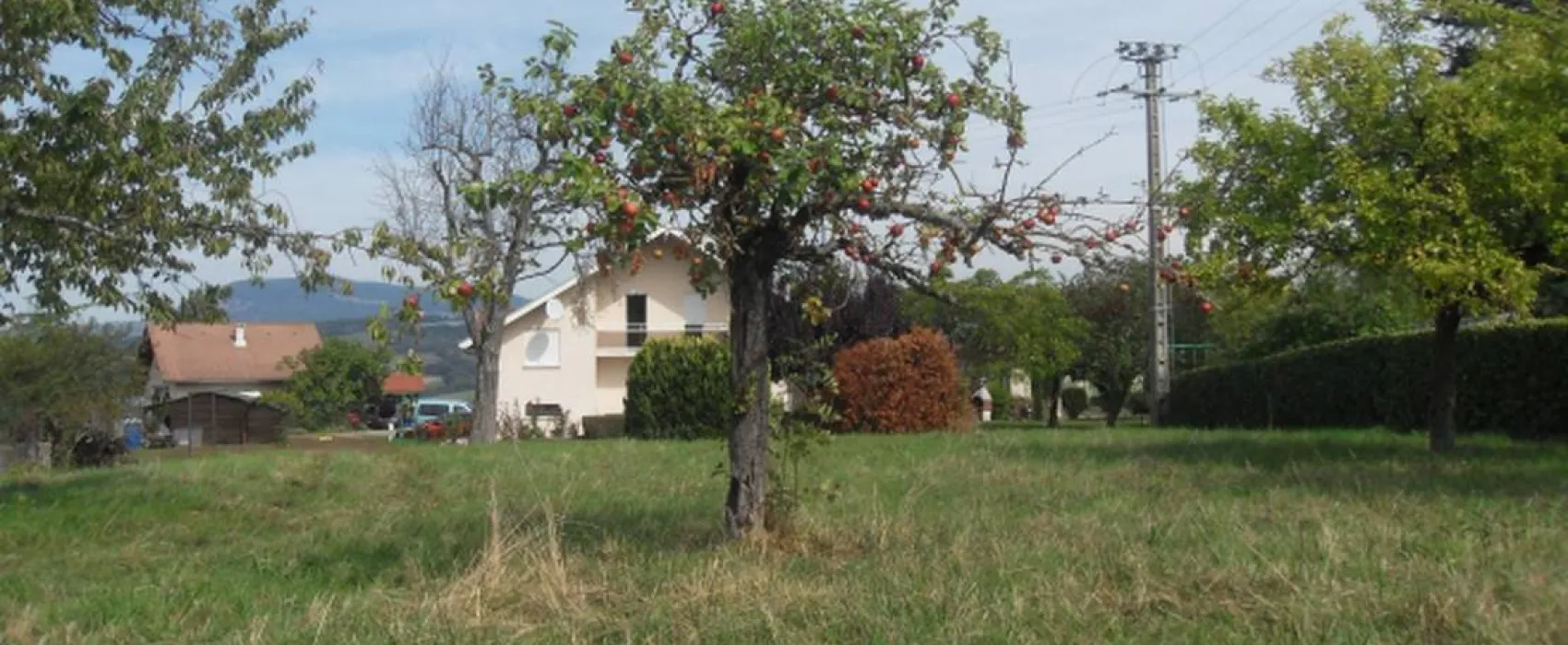 Camping aire naturelle La Bergerie