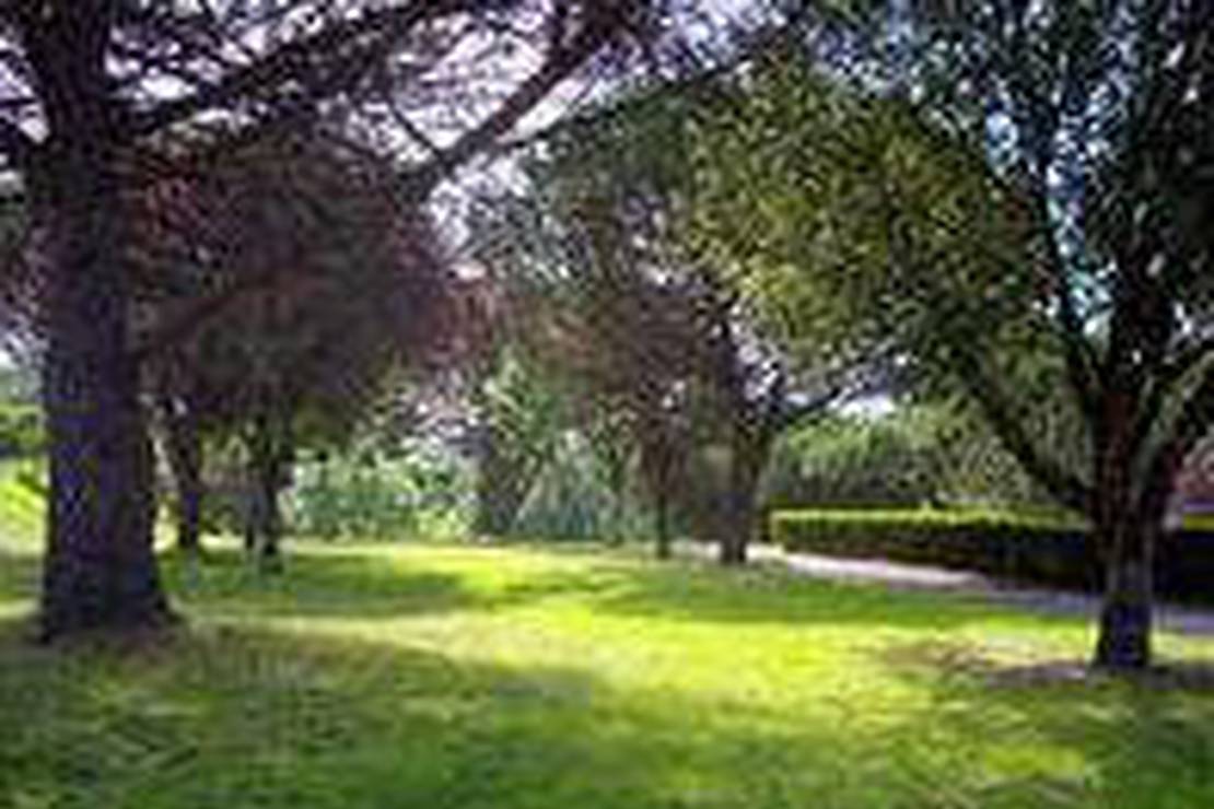 Camping Municipal Juillac photo 2