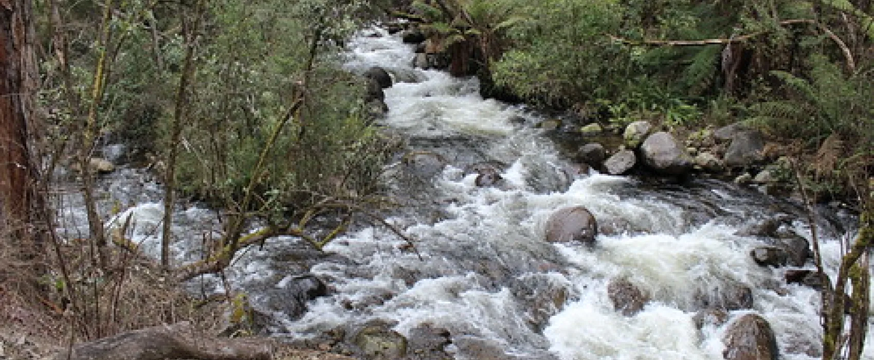 Kendalls (B) Campground