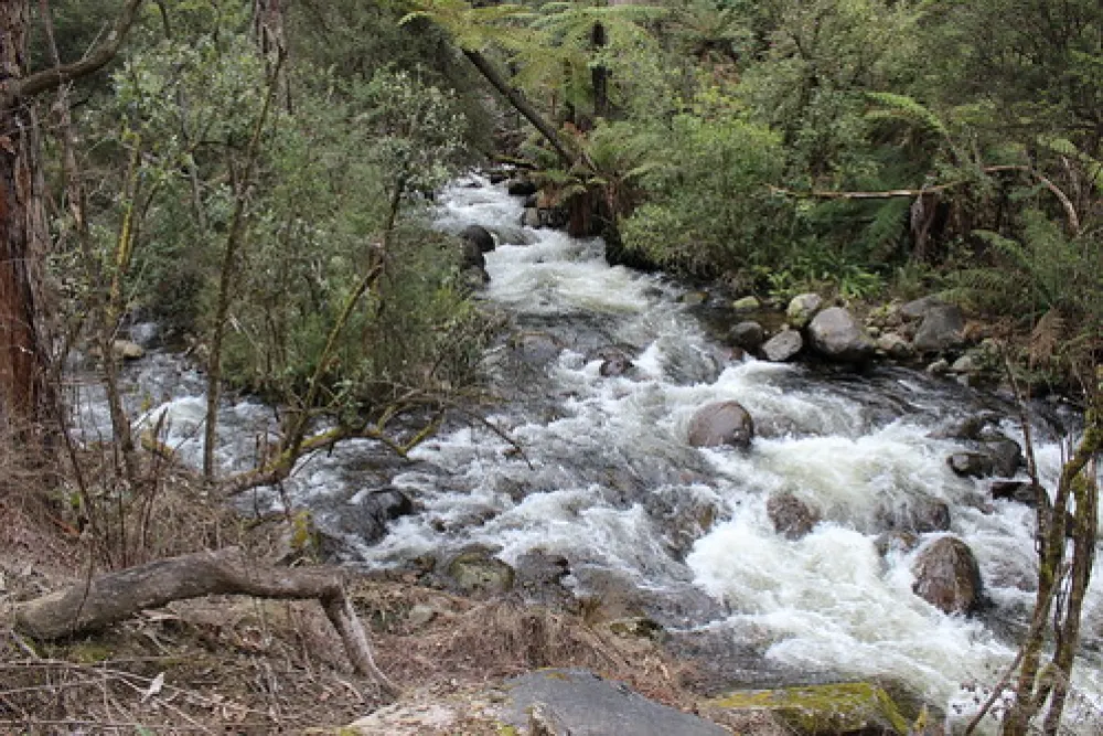 Kendalls (B) Campground