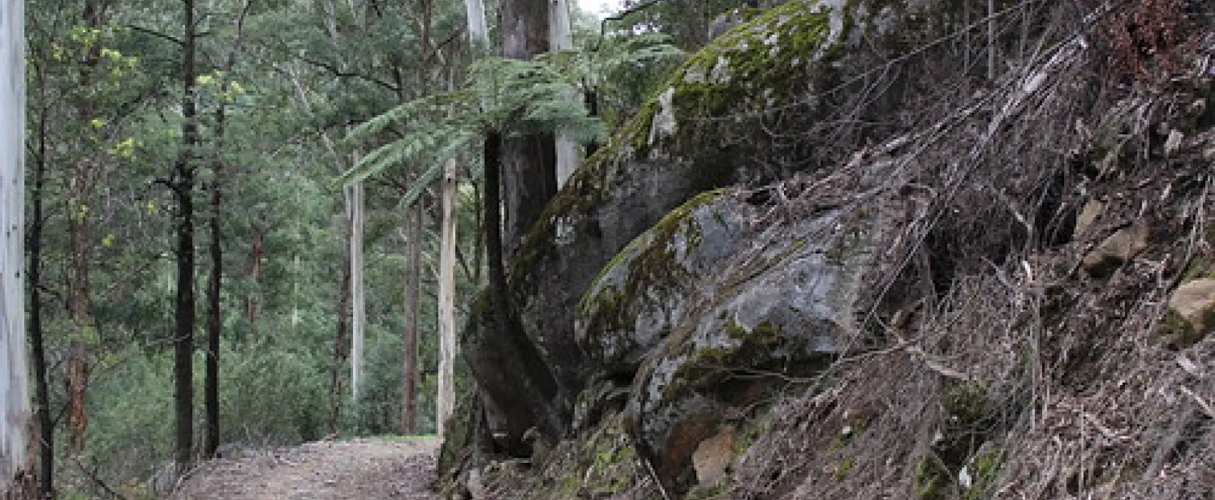 Kendalls (B) Campground