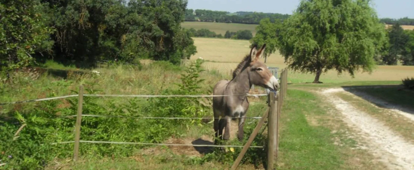 Camping à la ferme de Laillon