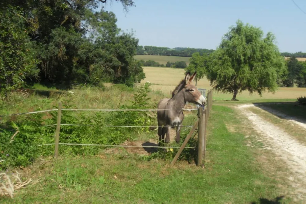 Camping à la ferme de Laillon