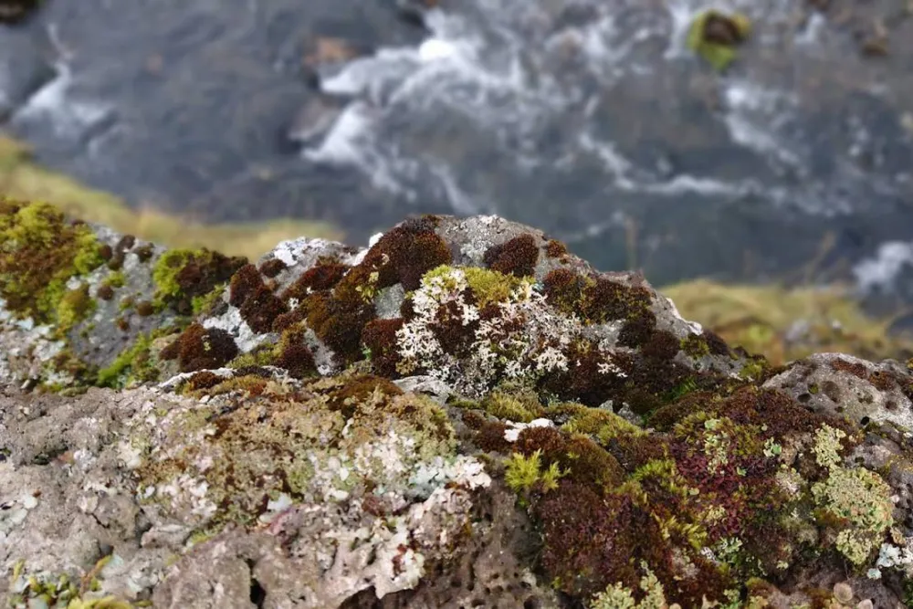 Stapagljúfur Canyon Campsite
