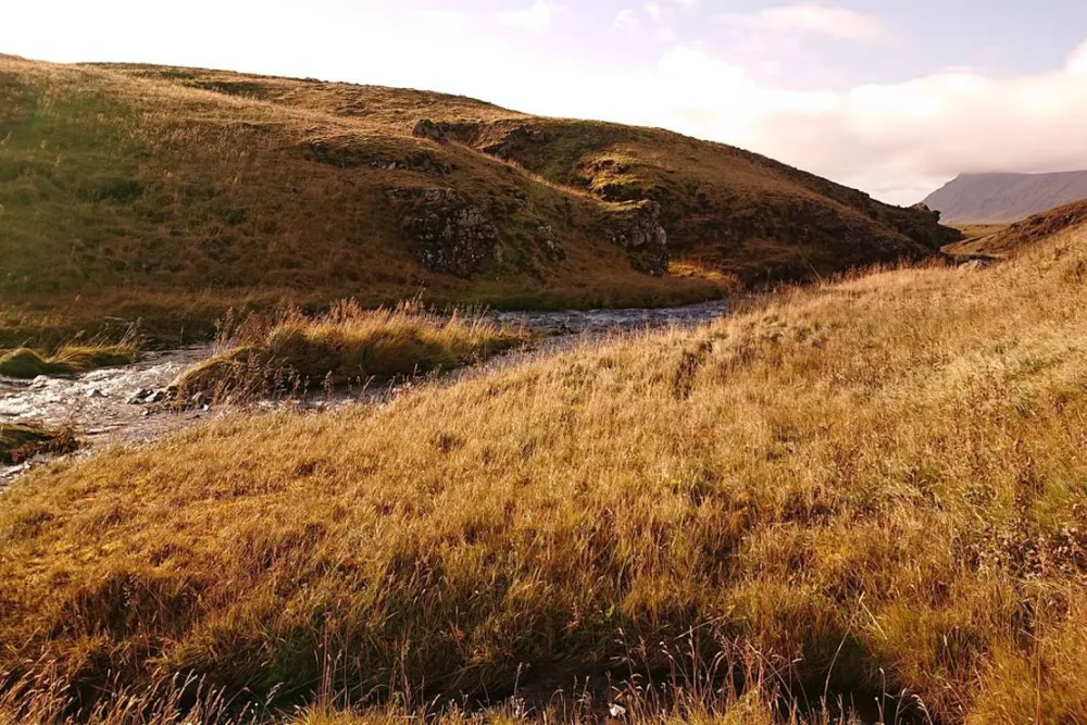 Stapagljúfur Canyon Campsite