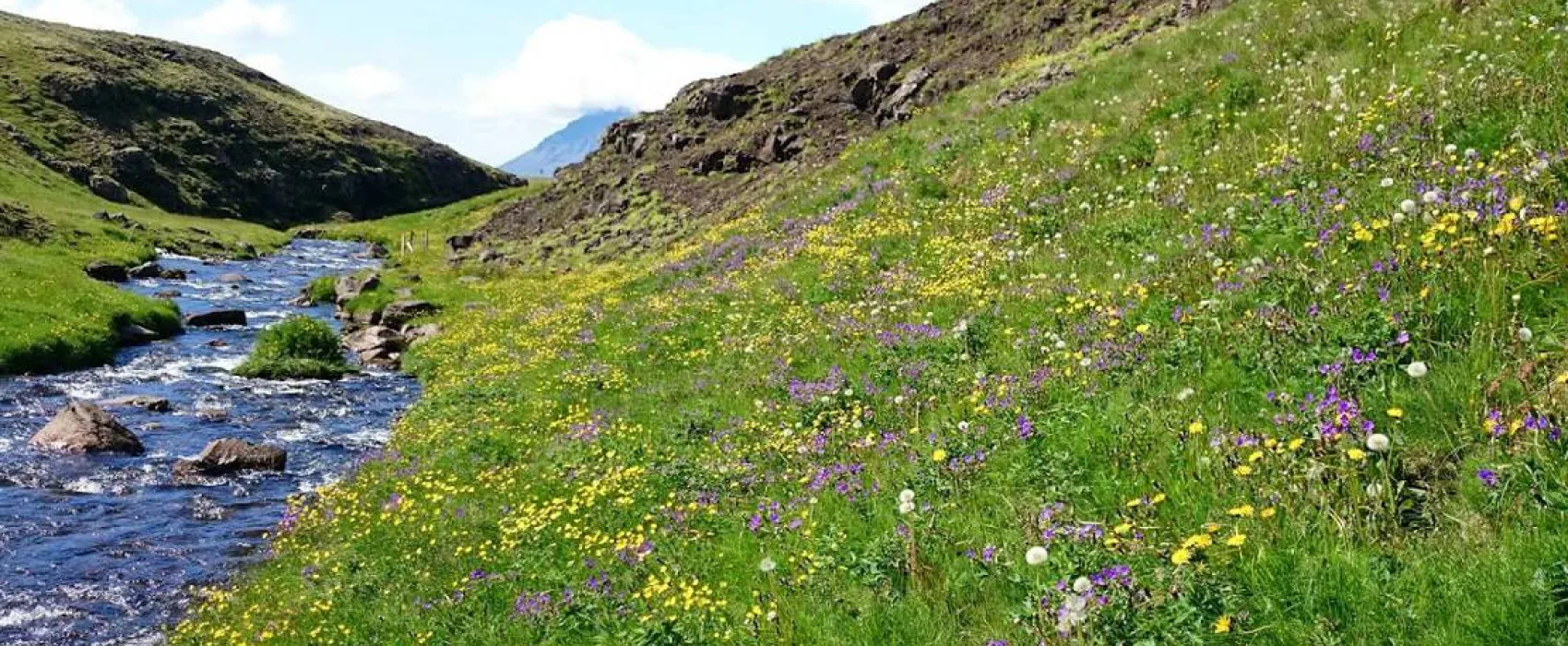 Stapagljúfur Canyon Campsite