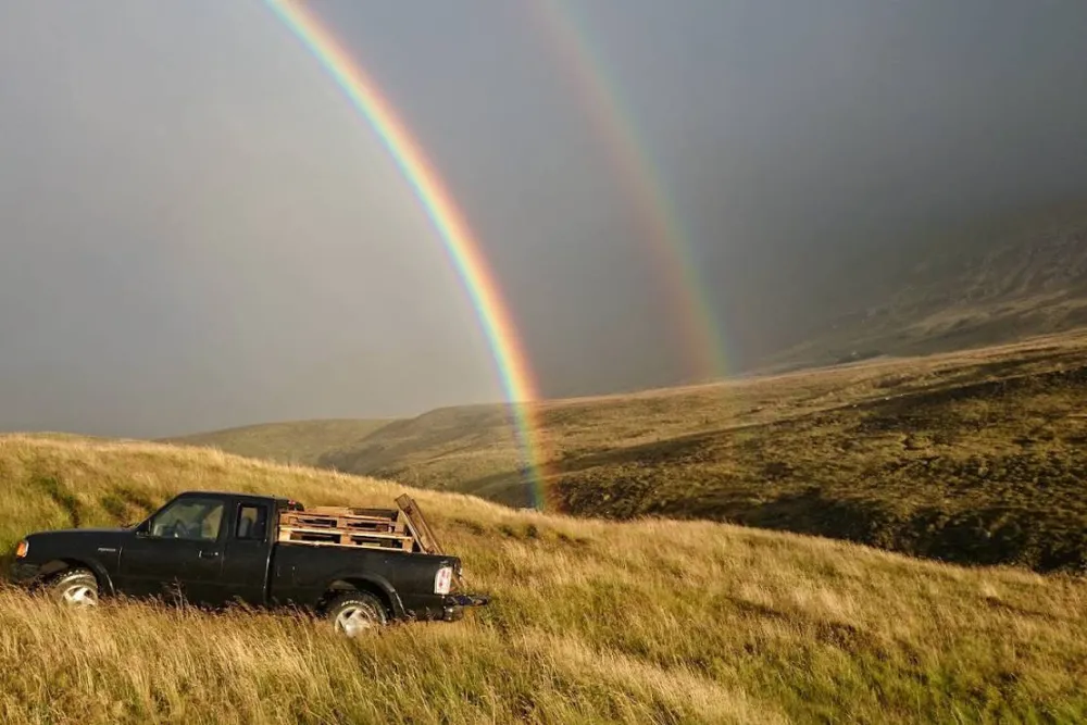 Stapagljúfur Canyon Campsite