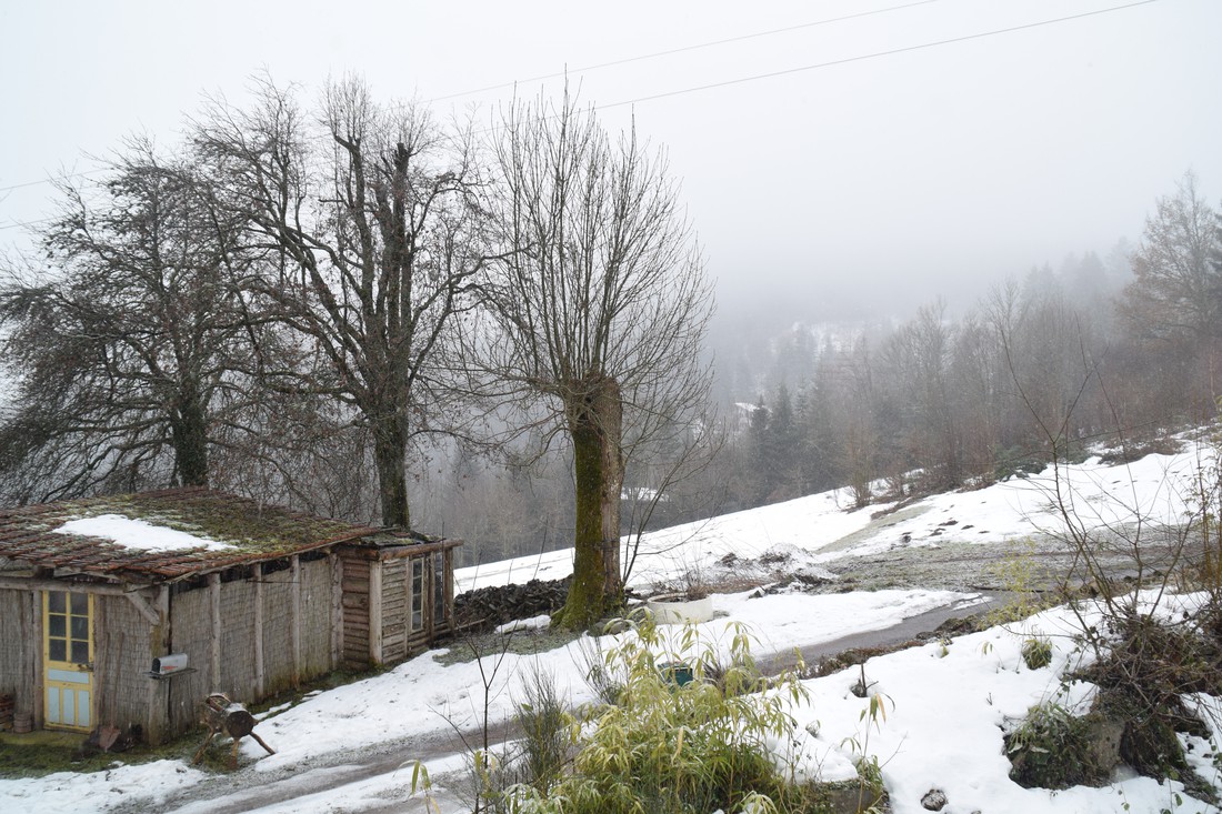 Casa Boslimpre photo 3