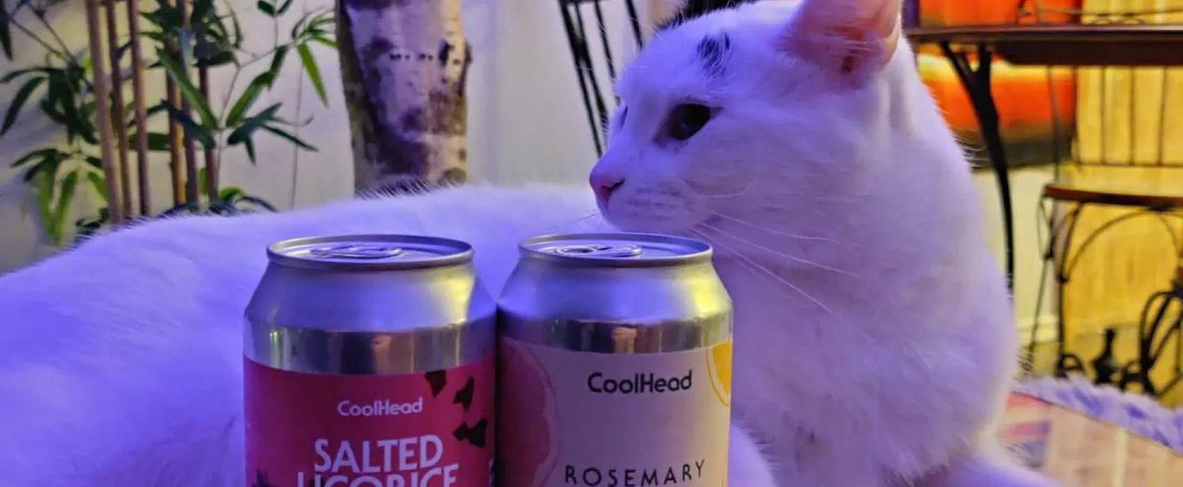 Kissakahvila Helkatti