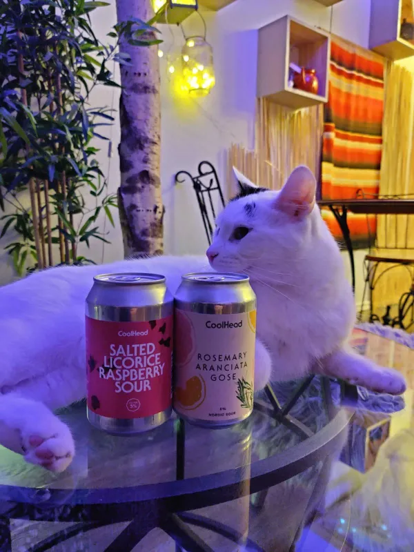 Kissakahvila Helkatti