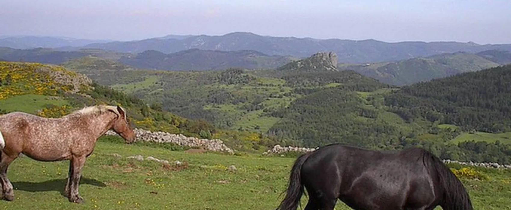 Camping a la ferme de Magnaudès Magnaudès