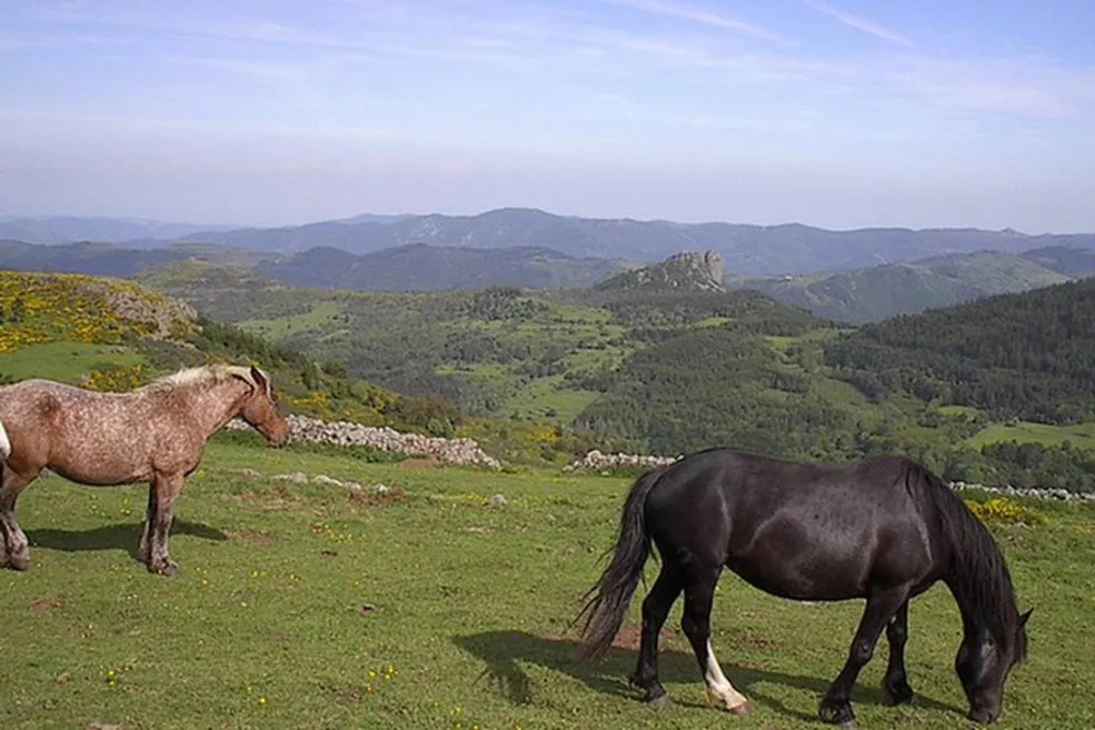 Camping a la ferme de Magnaudès Magnaudès