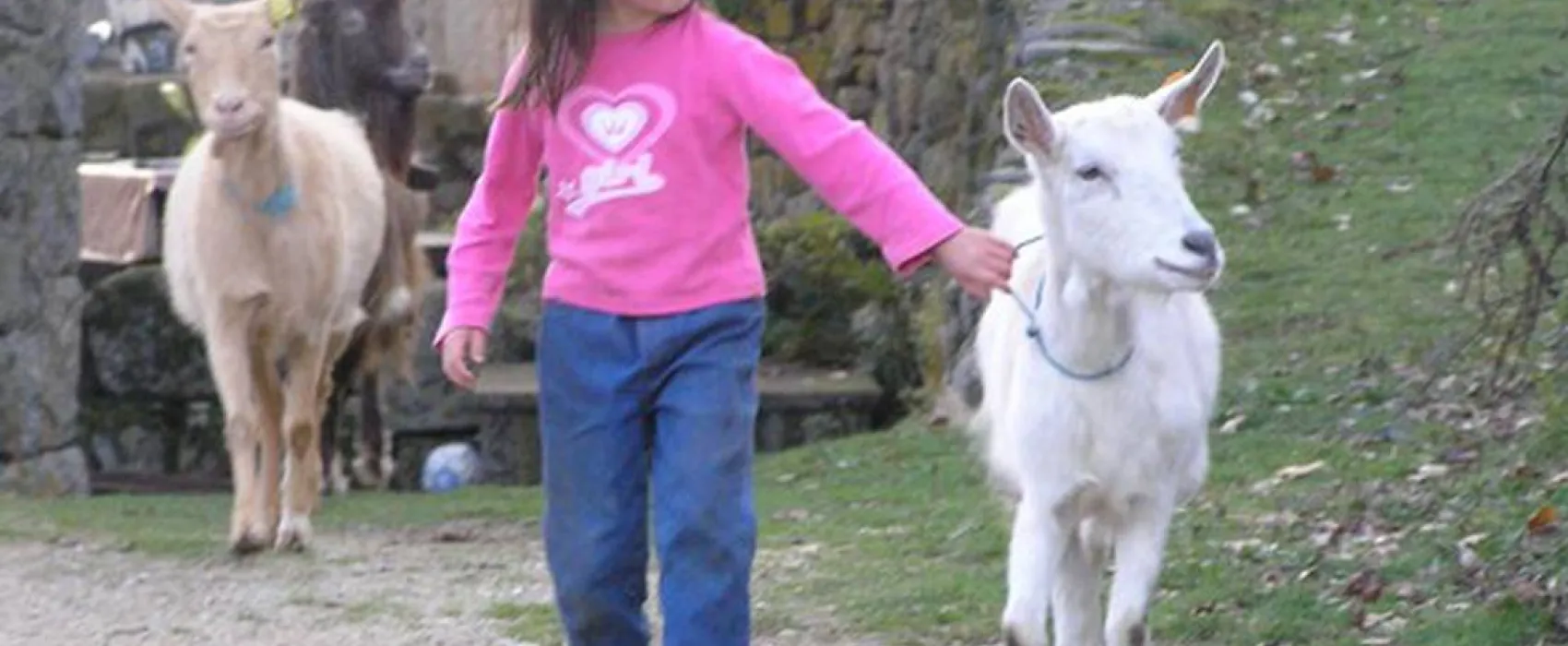 Camping a la ferme de Magnaudès Magnaudès