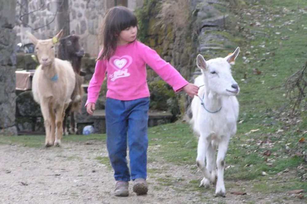 Camping a la ferme de Magnaudès Magnaudès