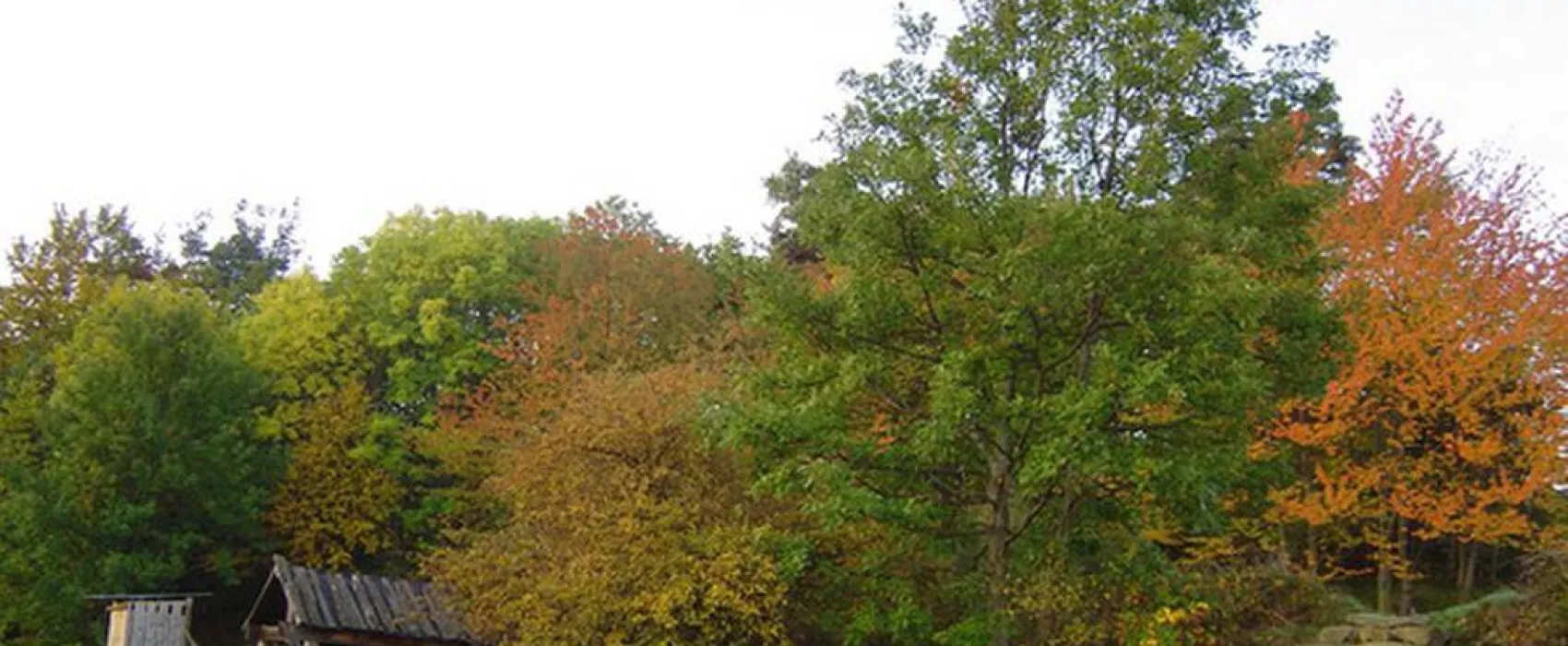 Camping a la ferme de Magnaudès Magnaudès