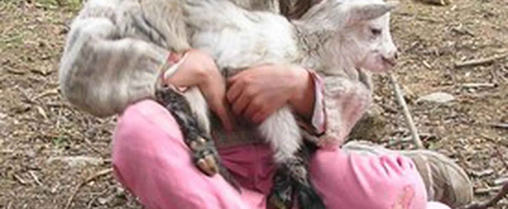 Camping a la ferme de Magnaudès Magnaudès