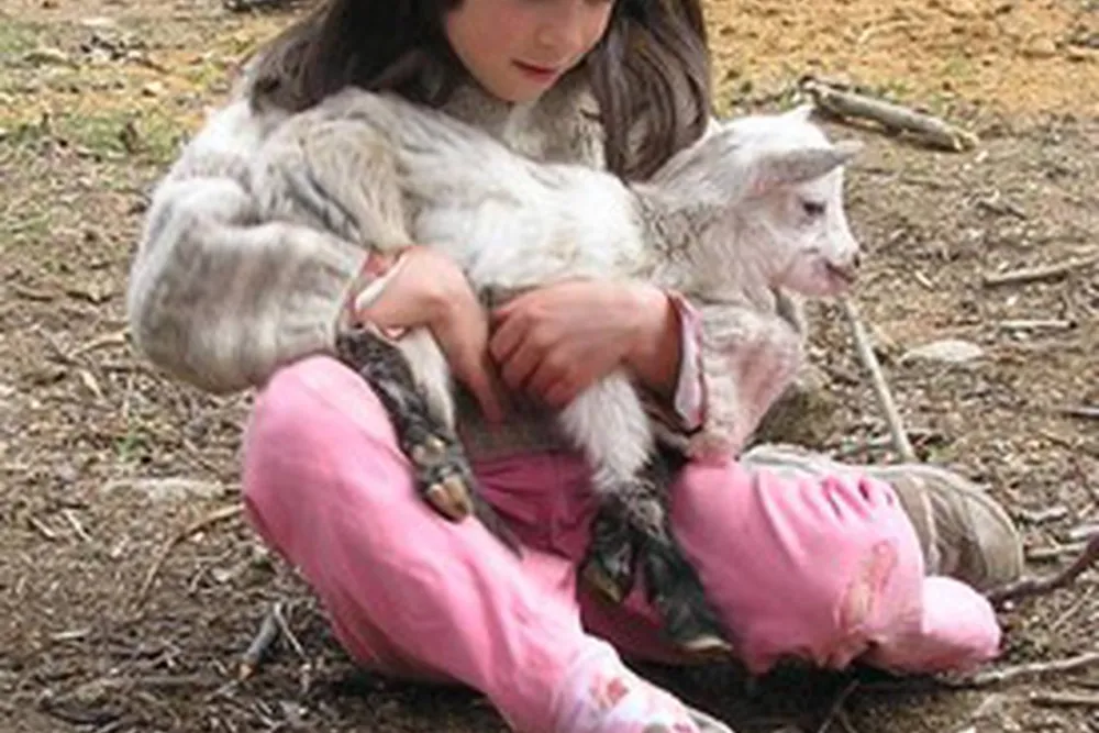 Camping a la ferme de Magnaudès Magnaudès