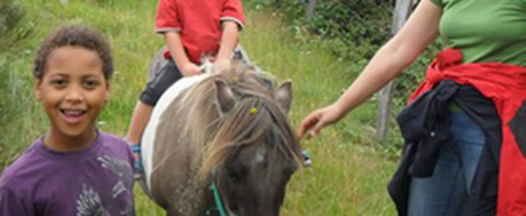 Camping a la ferme de Magnaudès Magnaudès
