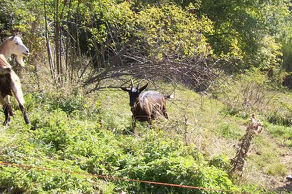 Camping a la ferme de Magnaudès Magnaudès