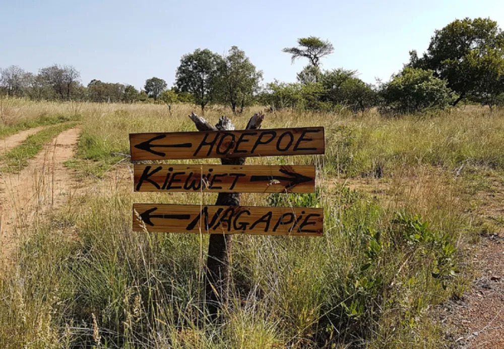 Adama Artistic Chalets & Teepees