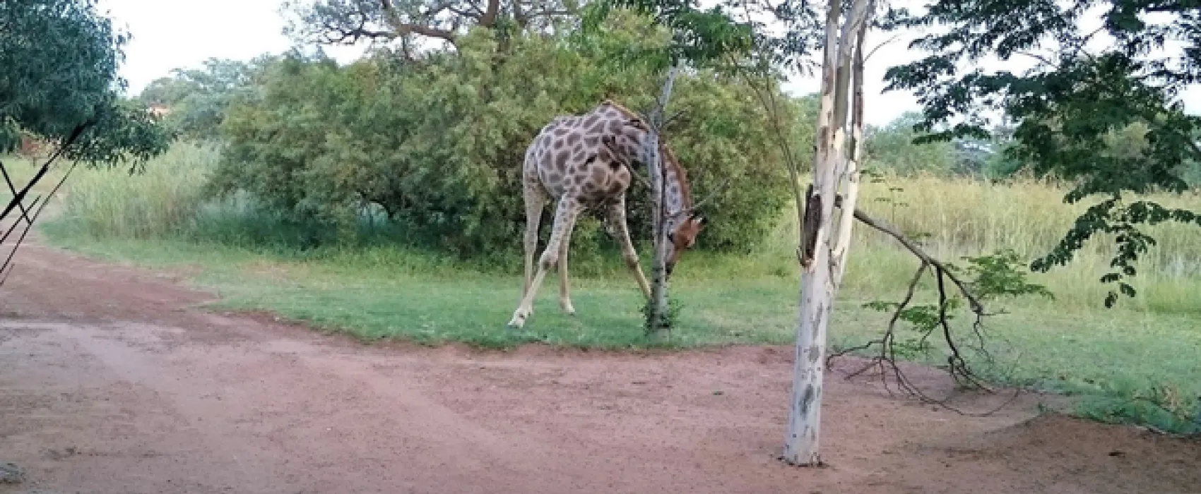 Adama Artistic Chalets & Teepees