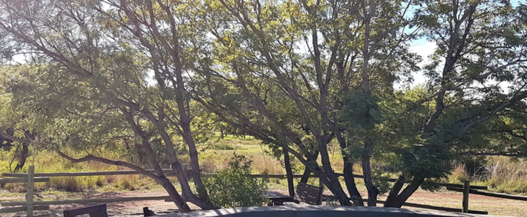 Adama Artistic Chalets & Teepees