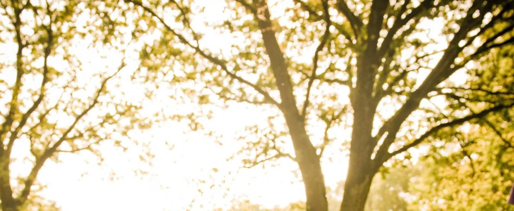 Adventure Camp Schnitzmühle